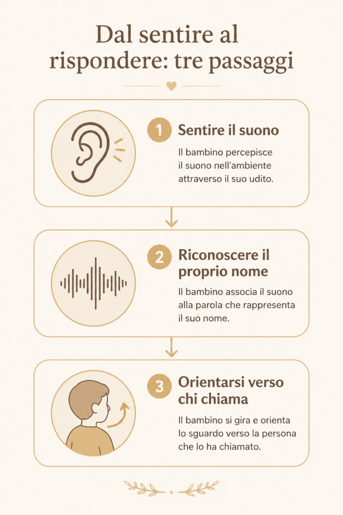 Mio figlio non risponde quando lo chiamo, schema dei tre passaggi tra udire e rispondere